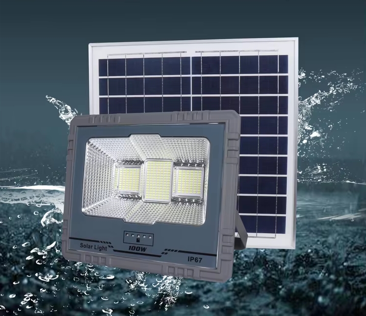 Remote Control Solar Flood Light D100W 